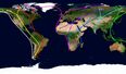 Plague History Explained: How Fleas, Trade Routes, and Cities Fueled Its Spread